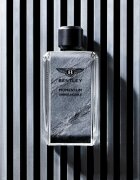 Bentley Momentum Unbreakable parfumska voda za moške 100 ml