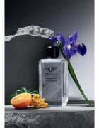 Bentley Momentum Unbreakable parfumska voda za moške 100 ml