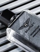 Bentley Momentum Unbreakable parfumska voda za moške 100 ml