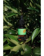 Beviro Bear Oil Summer Line olje za brado Summer Line 30 ml