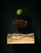 Beviro Bergamia Wood olje za brado z vonjem lesa 30 ml