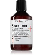 Bioélixire For Damaged Hair krepilni šampon za poškodovane lase 300 ml