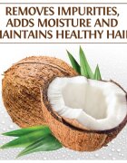 Biosilk Silk Therapy Natural Coconut Oil vlažilni šampon s kokosovim oljem 355 ml