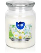 BISPOL Premium Line Jasmine dišeča sveča 500 g