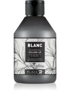 Black Professional Line Line Volume Up Shampoo šampon za volumen za tanke lase 300 ml