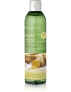 Bottega Verde Zenzero čistilni šampon za krepitev las 250 ml