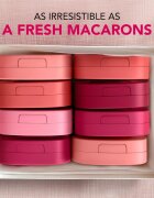 Bourjois Macaron Melt Lip & Cheek Flush rdečilo 2 v 1 odtenek 05 Berry Smoothy 5 g