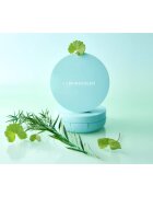BRINGGREEN Tea Tree Cica Tone Up Sun Cushion lahki zaščitni fluid z aplikatorjem SPF 50+ 15 g
