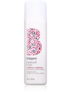 Briogeo Farewell Frizz gladilni balzam 236 ml