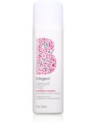 Briogeo Farewell Frizz šampon za glajenje las 236 ml