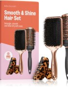 BrushArt Hair Smooth & Shine Hair Set darilni set za lase