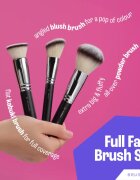 BrushArt Professional Full Face brush set with makeup pouch Set čopičev s torbico Black