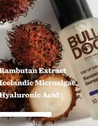 Bulldog End of Day Recovery Serum regeneracijski serum za obraz za noč 50 ml