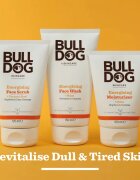 Bulldog Energising Moisturizer krema za obraz za moške 100 ml