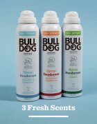 Bulldog Fresh Mint&Cedarwood Spray Deodorant deodorant v pršilu brez vsebnosti aluminija 125 ml