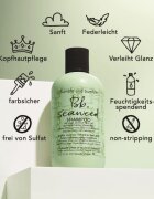 Bumble and Bumble Seaweed Shampoo šampon za valovite lase z izvlečki morskih alg 250 ml