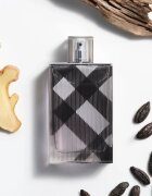 Burberry Brit for Him toaletna voda za moške 100 ml