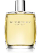 Burberry for Men toaletna voda za moške 100 ml