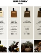 Burberry Hero parfum polnilni za moške 100 ml
