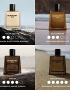 Burberry Hero parfum za moške 150 ml