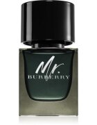 Burberry Mr. parfumska voda za moške 50 ml