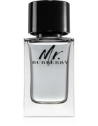 Burberry Mr. toaletna voda za moške 100 ml