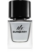 Burberry Mr. toaletna voda za moške 50 ml