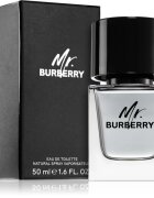 Burberry Mr. toaletna voda za moške 50 ml
