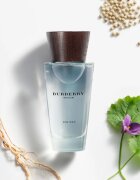 Burberry Touch for Men toaletna voda za moške 100 ml