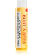 Burt’s Bees Lip Balm Coconut & Pear vlažilni balzam za ustnice 4.25 g