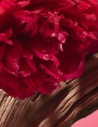 Cacharel Yes I Am Bloom up parfumska voda za ženske 50 ml