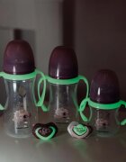 Canpol babies EasyStart Sleepy Koala 240 ml steklenička za dojenčke 3 m+ Pink 1 kos