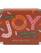 Castelbel Charming Soaps Cinnamon Orange trdo milo v pločevinki 300 g