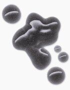 Catrice Black Drop nega nohtov s peptidi 8 ml