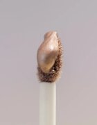 Catrice DESERT DUNE bleščeča tekoča senčila za oči odtenek C02 Endless Sands 4 ml