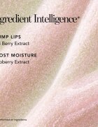 Chantecaille Brilliant Lip Gloss vlažilni sijaj za ustnice Mirth 3 ml