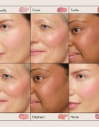 Chantecaille Cheek Shades rdečilo 2.5 g