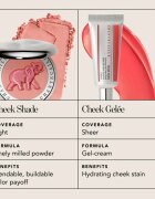 Chantecaille Cheek Shades rdečilo Butterfly Bliss 2.5 g