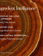 Chantecaille Future Skin Gel Foundation vlažilni tekoči puder s posvetlitvenim učinkom Shell 2W 30 g