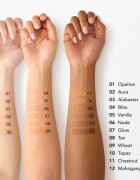 Chantecaille Just Skin Tinted Moisturizer tonirana vlažilna krema s posvetlitvenim učinkom SPF 15 Alabaster 35 g