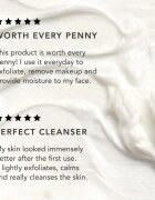 Chantecaille Rice and Geranium Foaming Cleanser nežna čistilna emulzija z vlažilnim učinkom 70 g