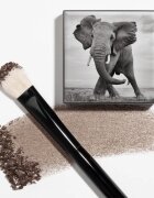 Chantecaille Shade and Sweep Eye Brush ploščat čopič za senčila za oči 1 kos