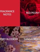 Christina Aguilera Cherry Noir parfumska voda za ženske 15 ml