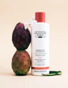 Christophe Robin Regenerating Shampoo globinsko regeneracijski šampon za poškodovane in kemično obdelane lase 250 ml
