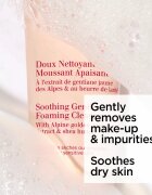 Clarins Cleansing Soothing Gentle Foaming Cleanser nežna pena za odstranjevanje ličil s pomirjajočim učinkom 125 ml