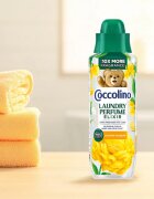 Coccolino Summer Bouquet dišava za perilo 460 ml