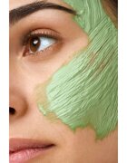 Collistar Attivi Puri Salicylic Acid + Zinc Clay Mask maska iz ilovice s hialuronsko kislino 75 ml