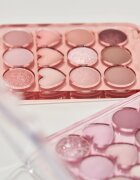 Colorgram Pin Point Eyeshadow Palette paleta senčil za oči za popoln videz odtenek 01 Peach+Coral 9.9 g