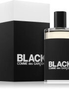 Comme des Garçons Black toaletna voda uniseks 100 ml