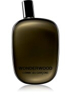 Comme des Garçons Wonderwood parfumska voda za moške 100 ml